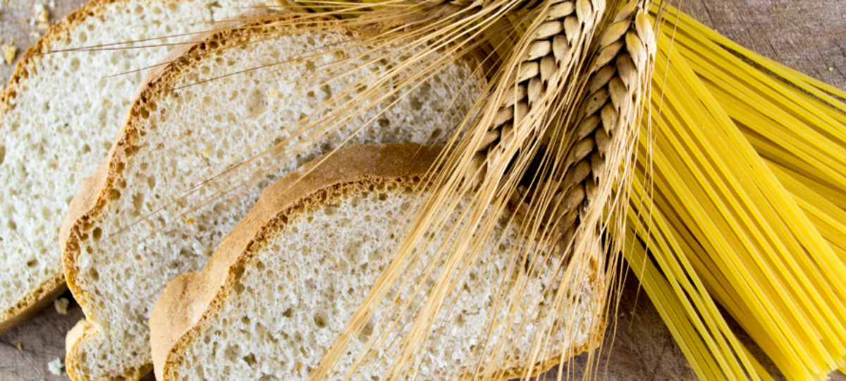 Bez nazwy (1200 x 300 px) (1200 x 400 px) (900 x 400 px)