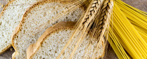 Bez nazwy (1200 x 300 px) (1200 x 400 px) (900 x 400 px)