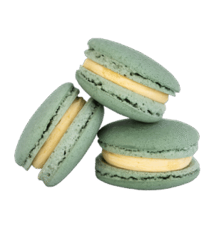 Vege makaronik - Rokitnik